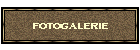 fotogalerie