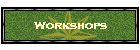 Workshops